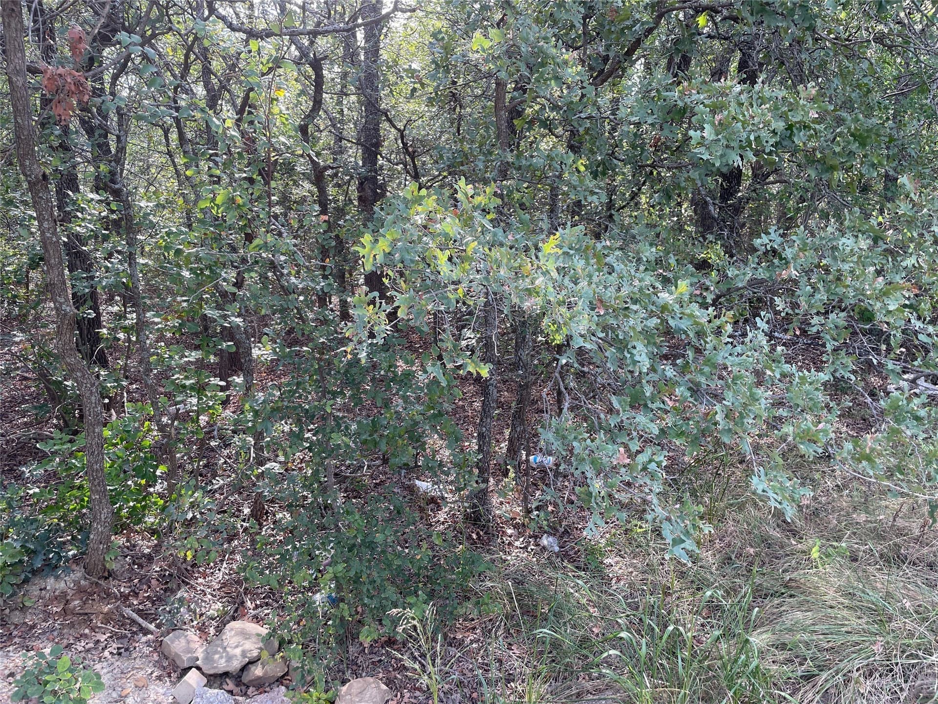 0.38 acres in Wise County gallery image 3