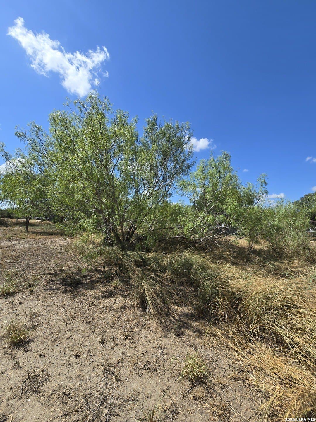0.16 acres in Atascosa County - photo 3