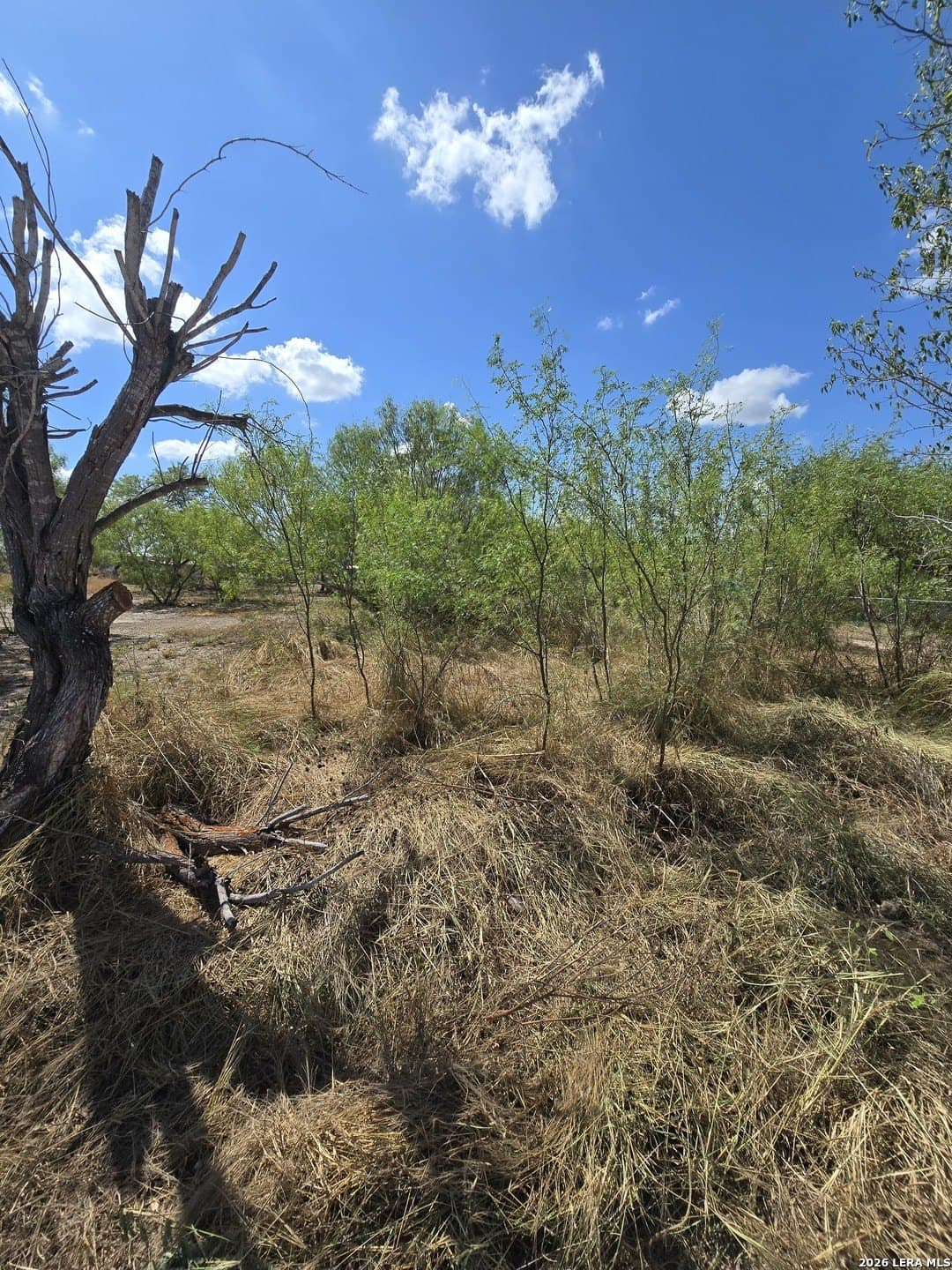 0.16 acres in Atascosa County