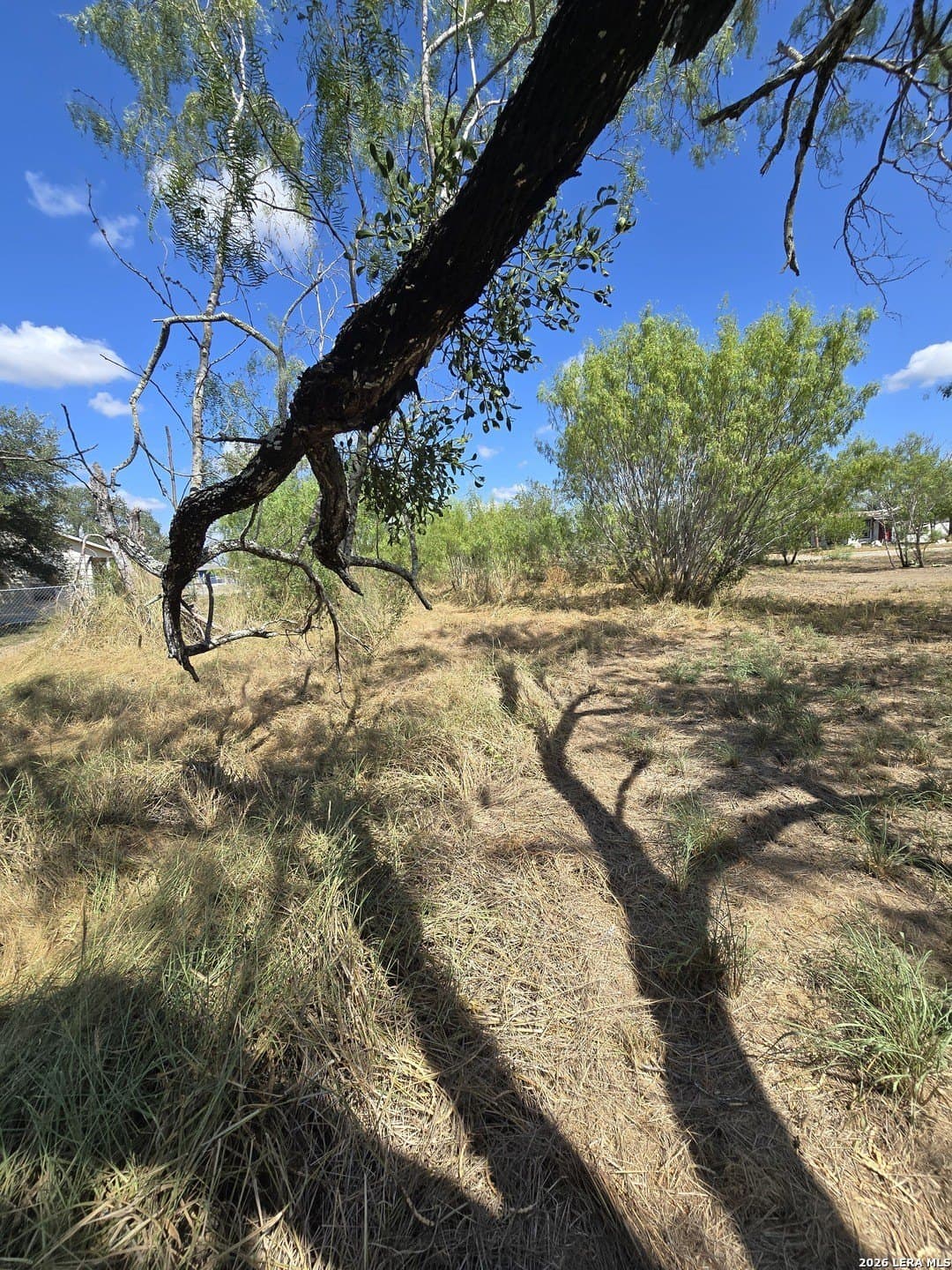 0.16 acres in Atascosa County - photo 2