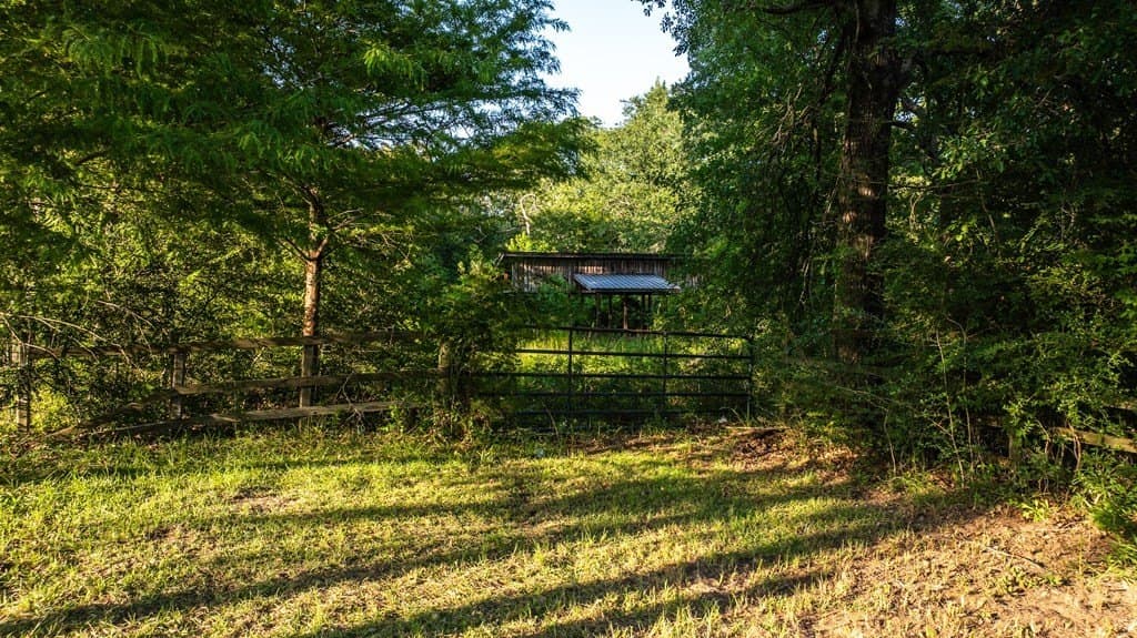 20 acres in ANDERSON County - photo 5