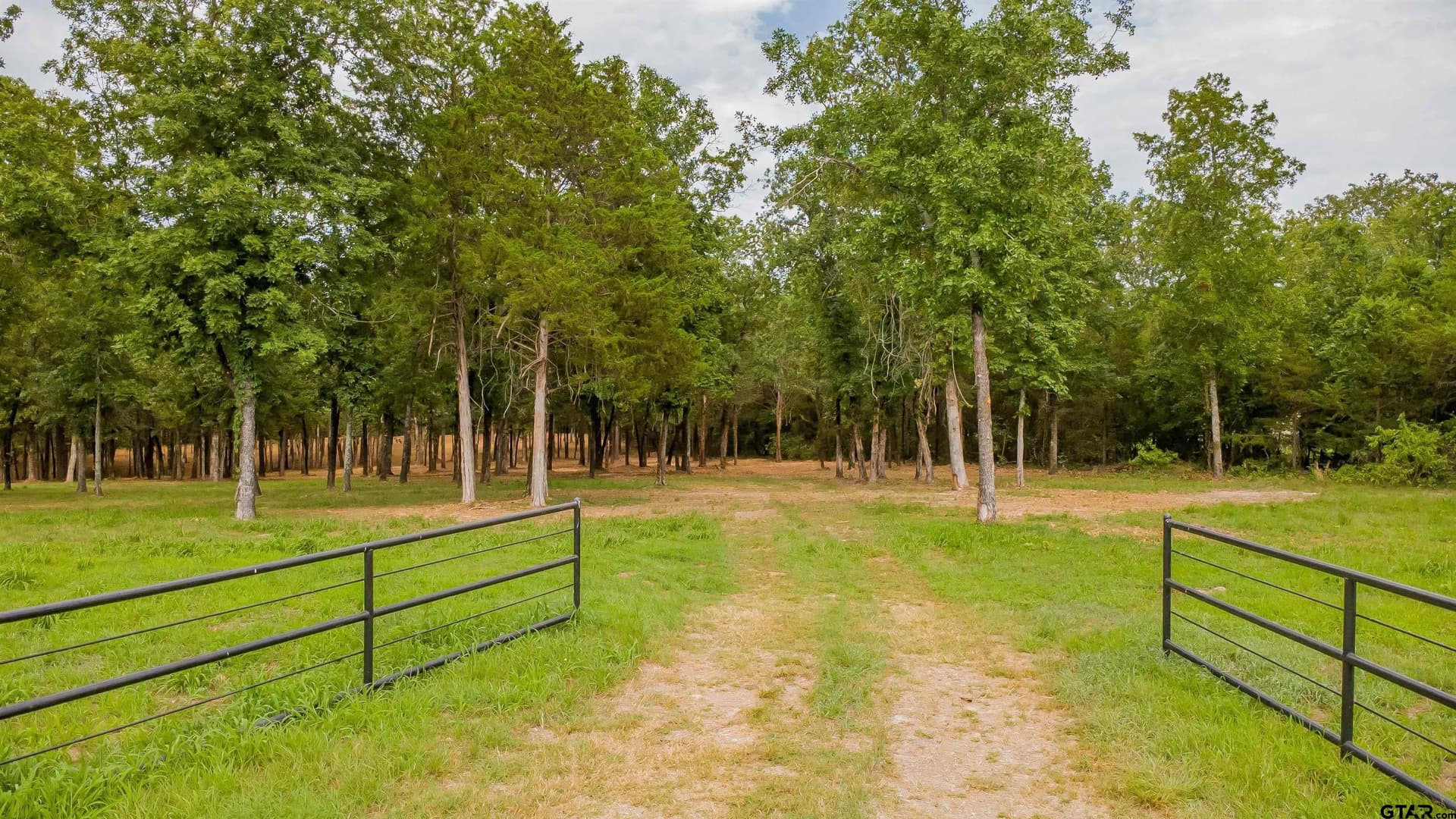 3.56 acres in Smith County gallery image 4