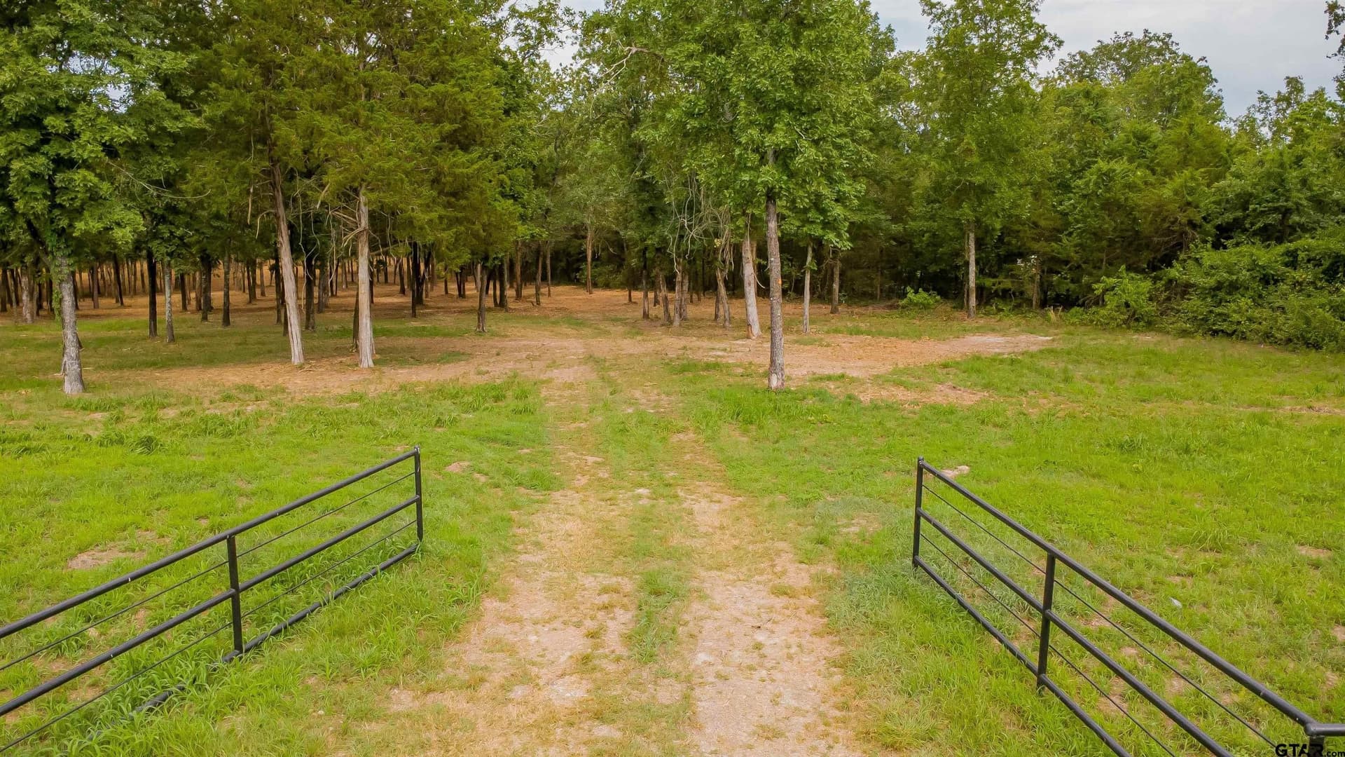 3.56 acres in Smith County gallery image 2