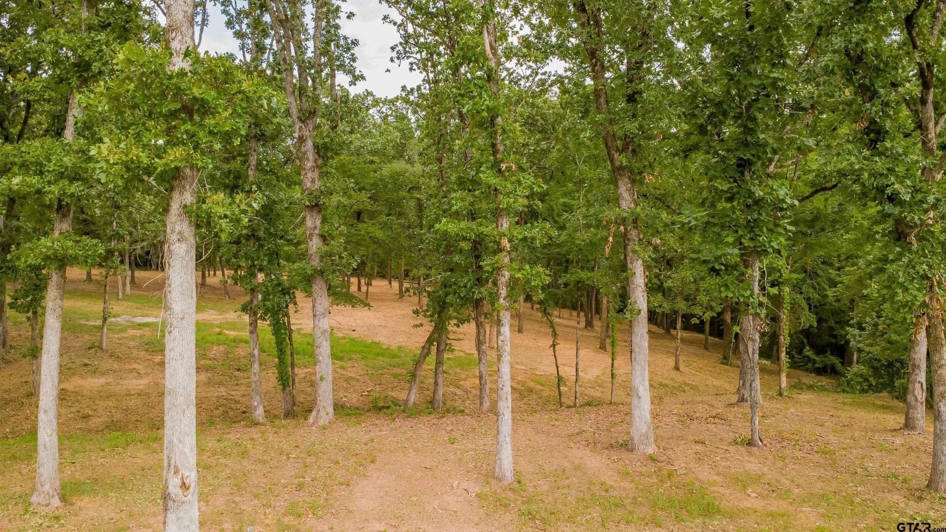 3.56 acres in Smith County - photo 13