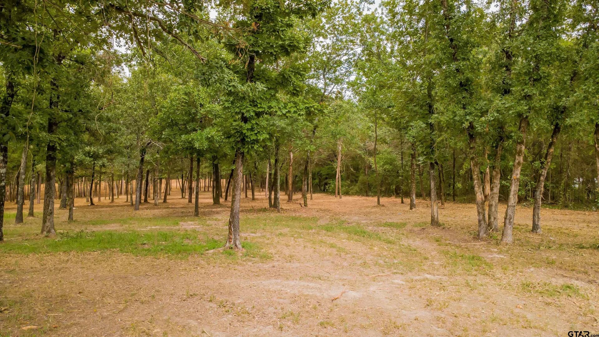 3.56 acres in Smith County - photo 11