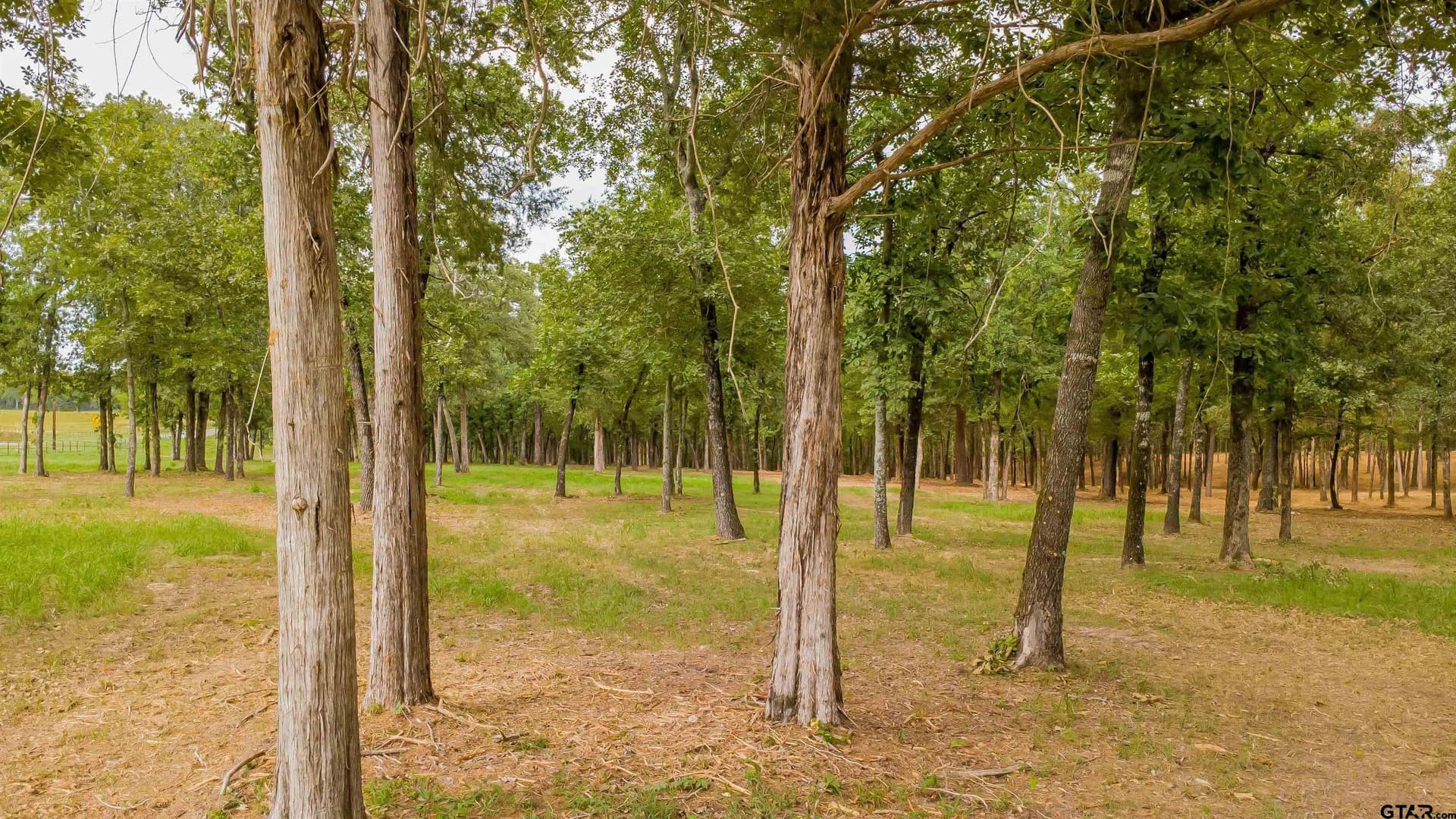 3.56 acres in Smith County - photo 12