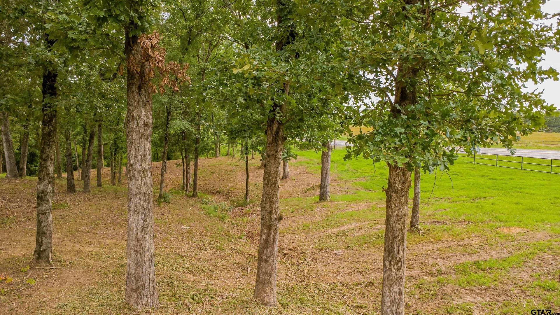 3.56 acres in Smith County - photo 14