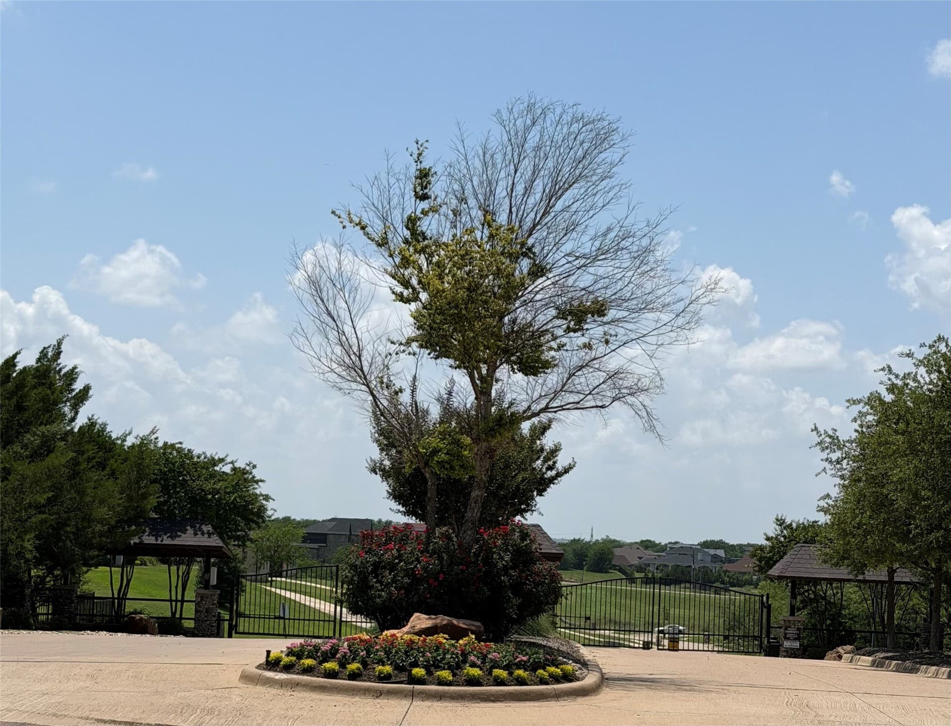 1.33 acres in Dallas County gallery image 3