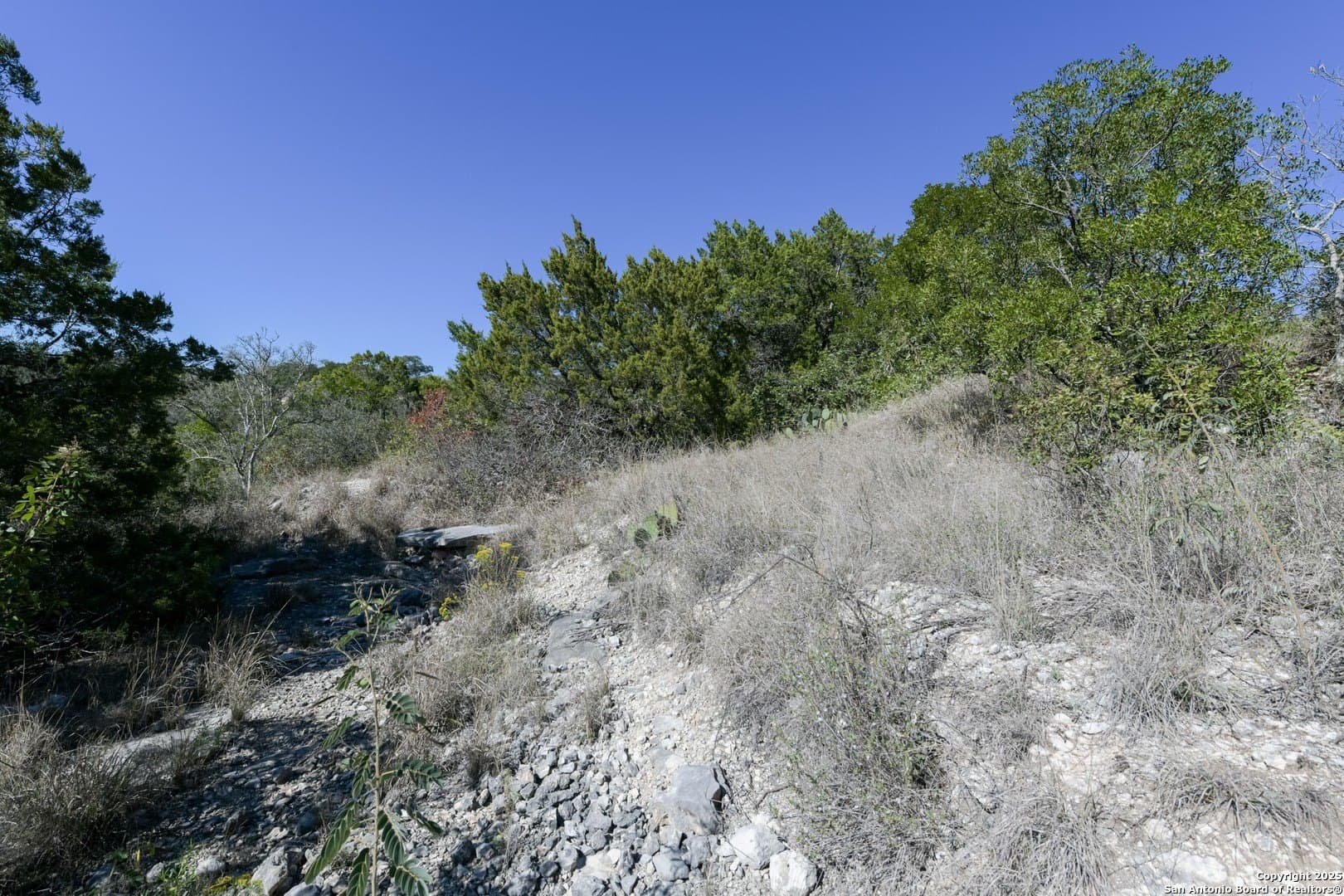 0.28 acres in Bexar County gallery image 4
