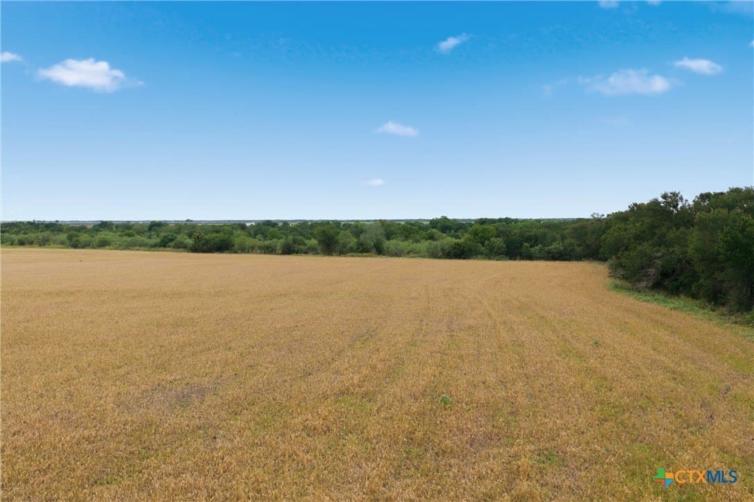 42.24 acres in Milam County - photo 13