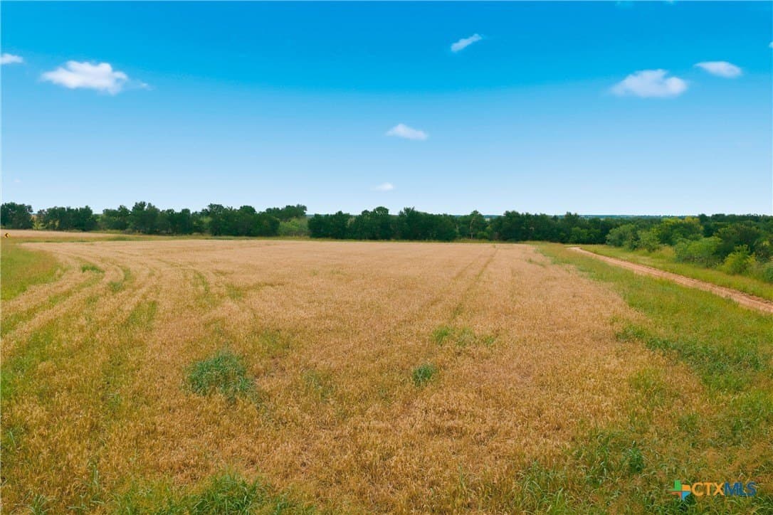 42.24 acres in Milam County - photo 11