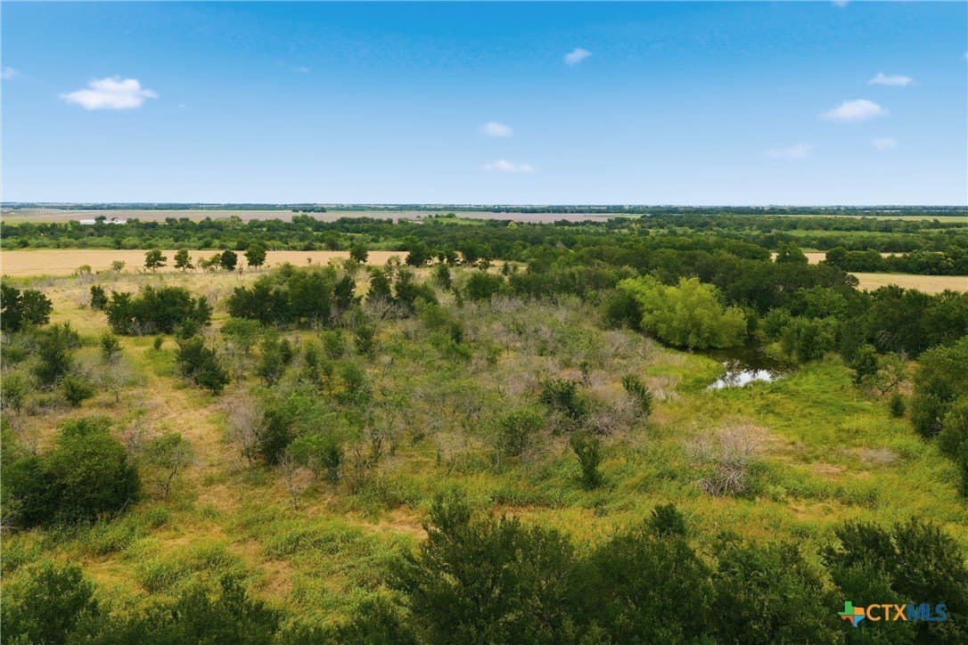 42.24 acres in Milam County - photo 7