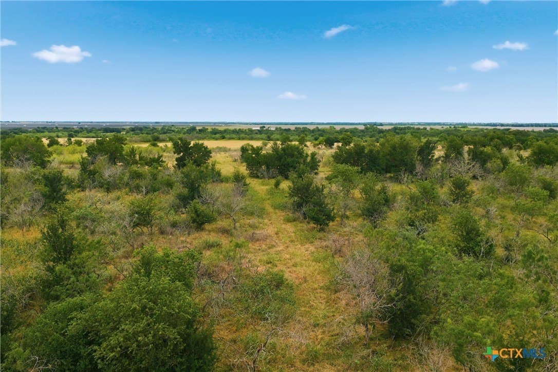 42.24 acres in Milam County - photo 12