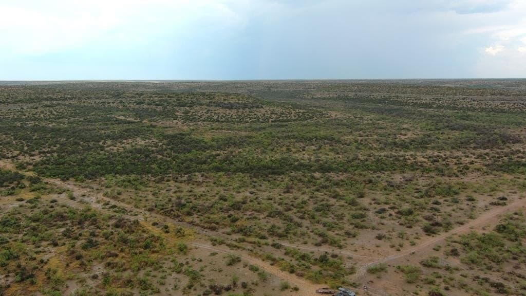 100 acres in Crockett County - photo 27
