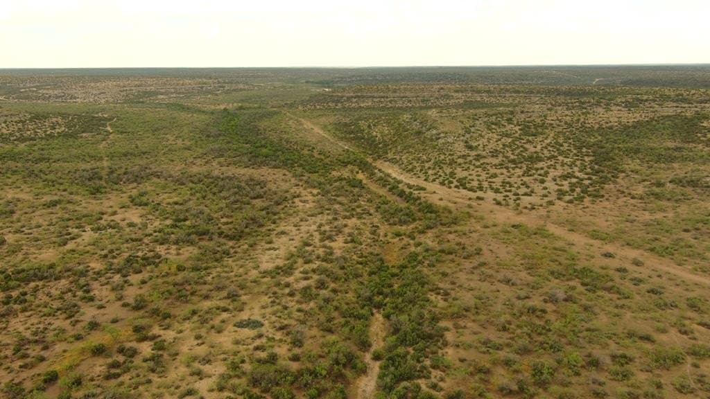 100 acres in Crockett County - photo 35