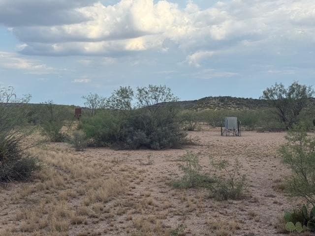 100 acres in Crockett County - photo 14