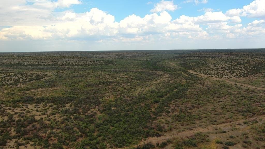 100 acres in Crockett County - photo 29