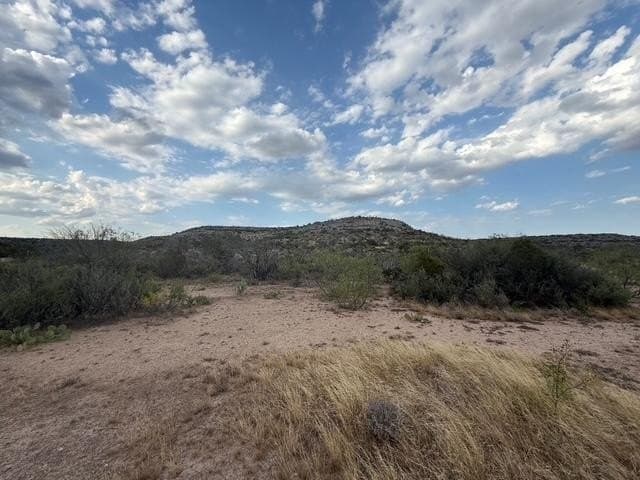 100 acres in Crockett County - photo 10