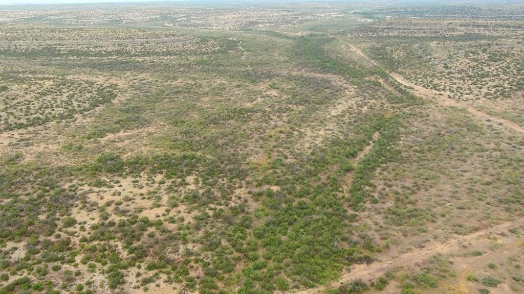 100 acres in Crockett County - photo 30