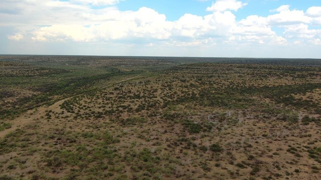 100 acres in Crockett County - photo 26