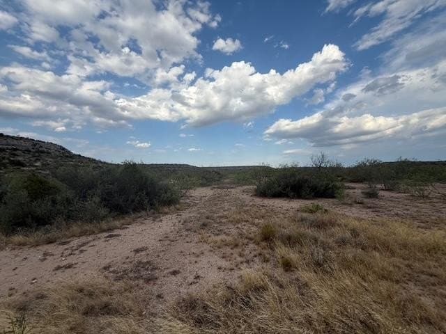 100 acres in Crockett County - photo 11
