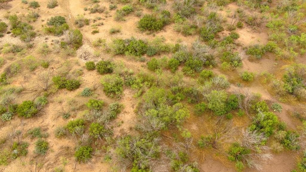 100 acres in Crockett County - photo 36