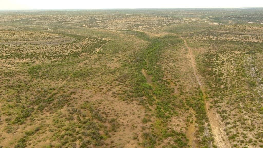 100 acres in Crockett County - photo 34