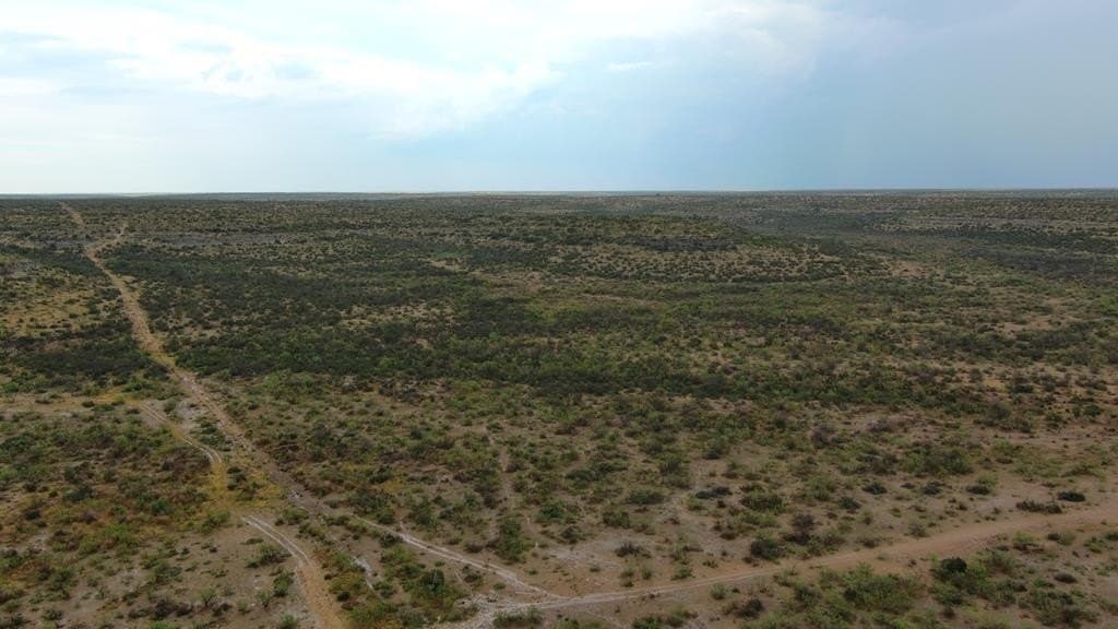 100 acres in Crockett County - photo 25