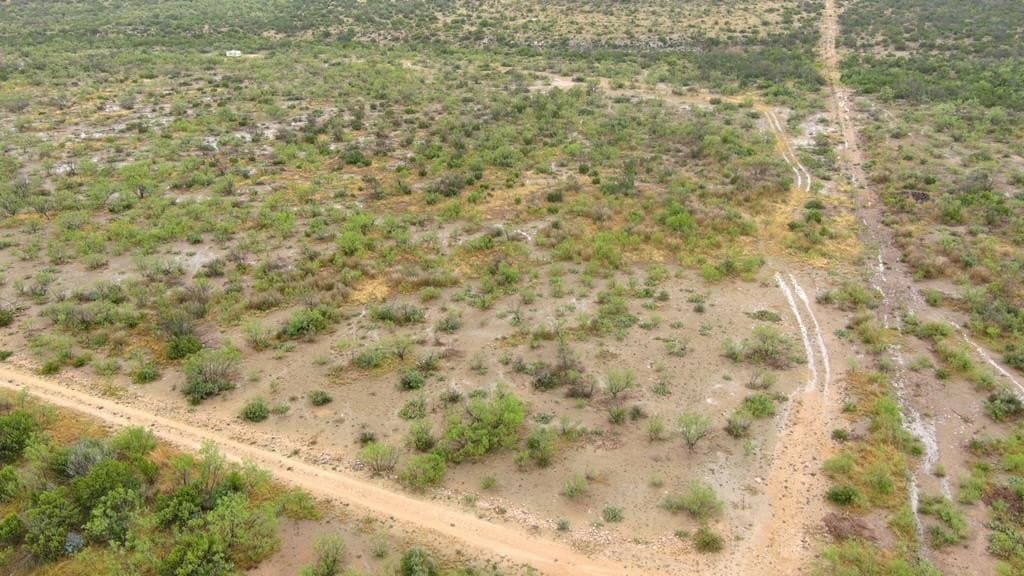 100 acres in Crockett County - photo 24