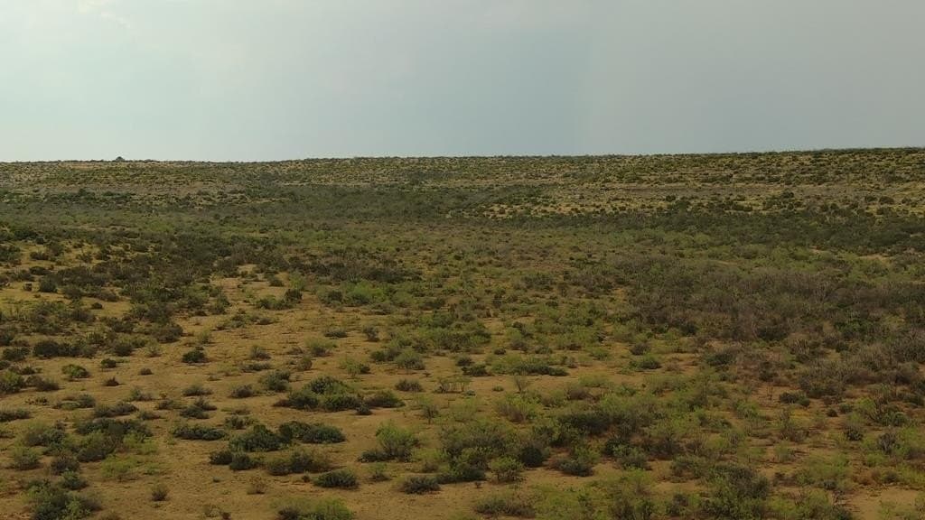 100 acres in Crockett County - photo 37