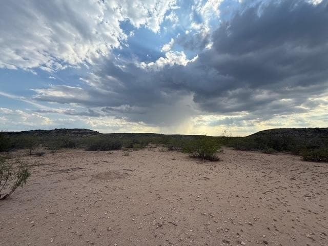 100 acres in Crockett County - photo 7