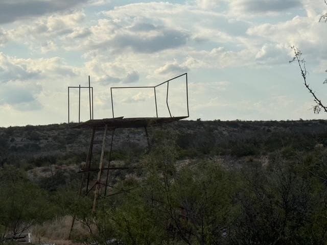 100 acres in Crockett County - photo 9