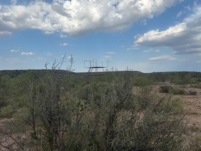 100 acres in Crockett County - photo 13