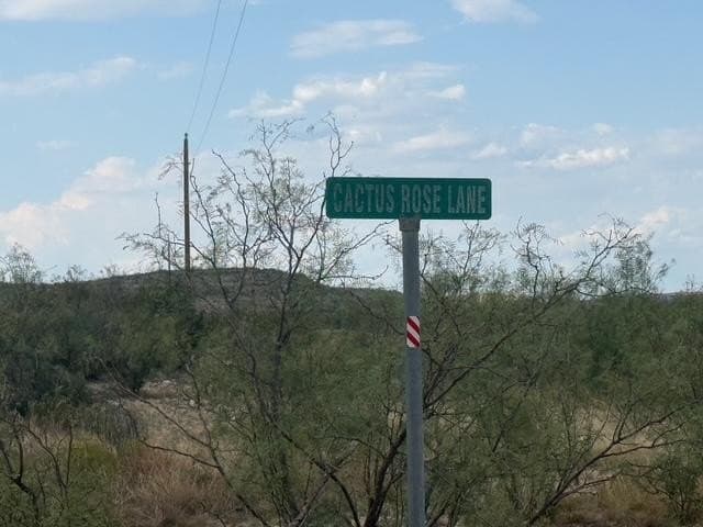 100 acres in Crockett County featured view