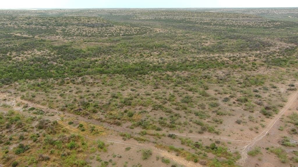 100 acres in Crockett County - photo 28