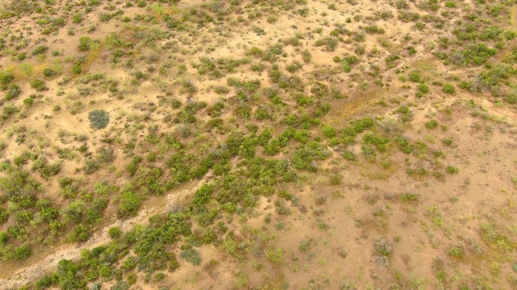 100 acres in Crockett County - photo 33