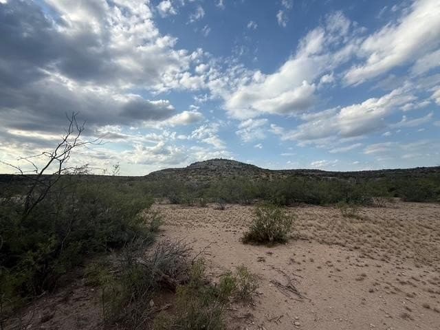 100 acres in Crockett County - photo 8