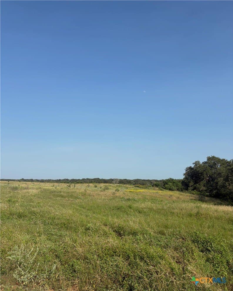 75 acres in Guadalupe County gallery image 4
