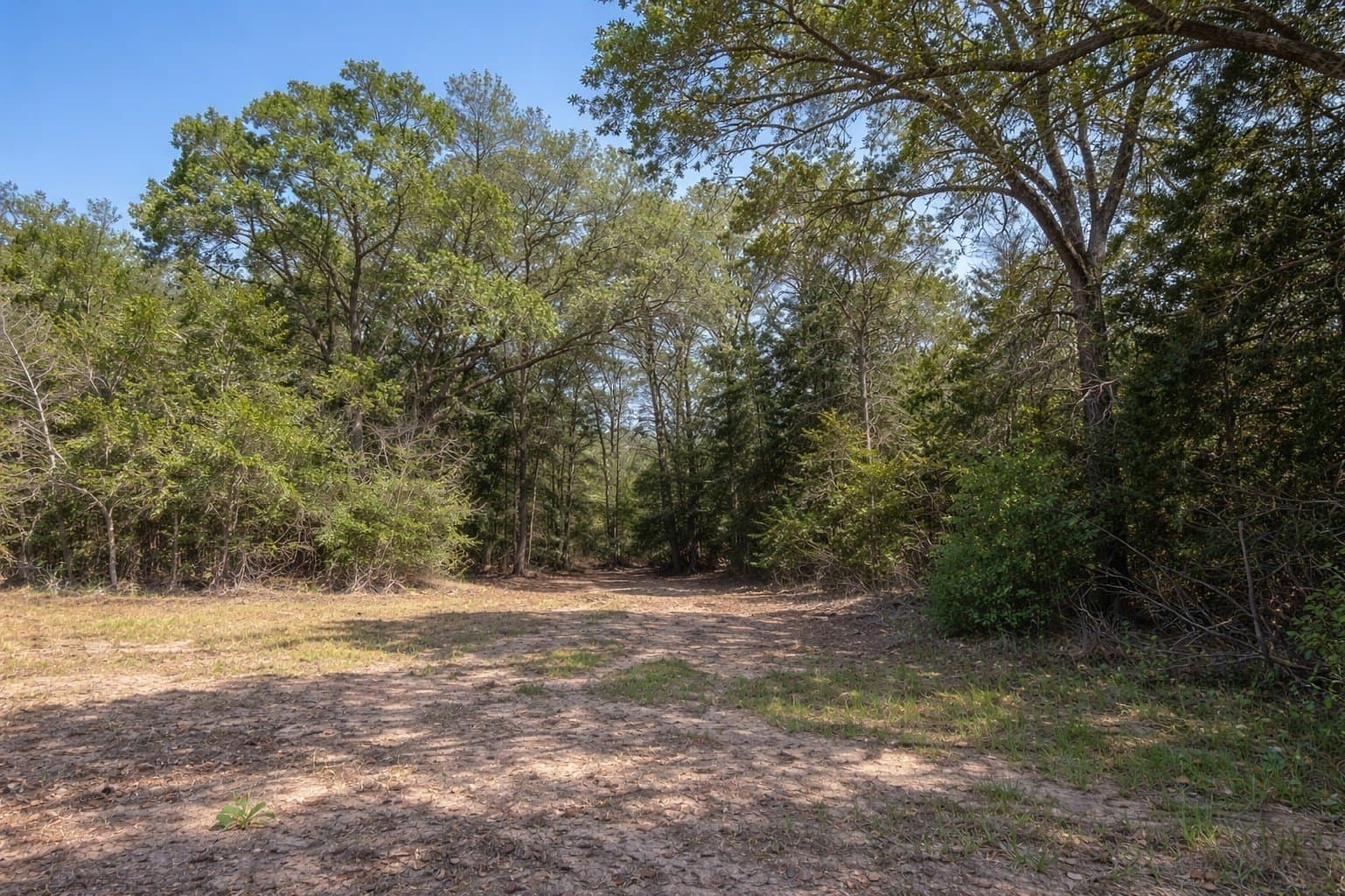 206 acres in Henderson County - photo 2