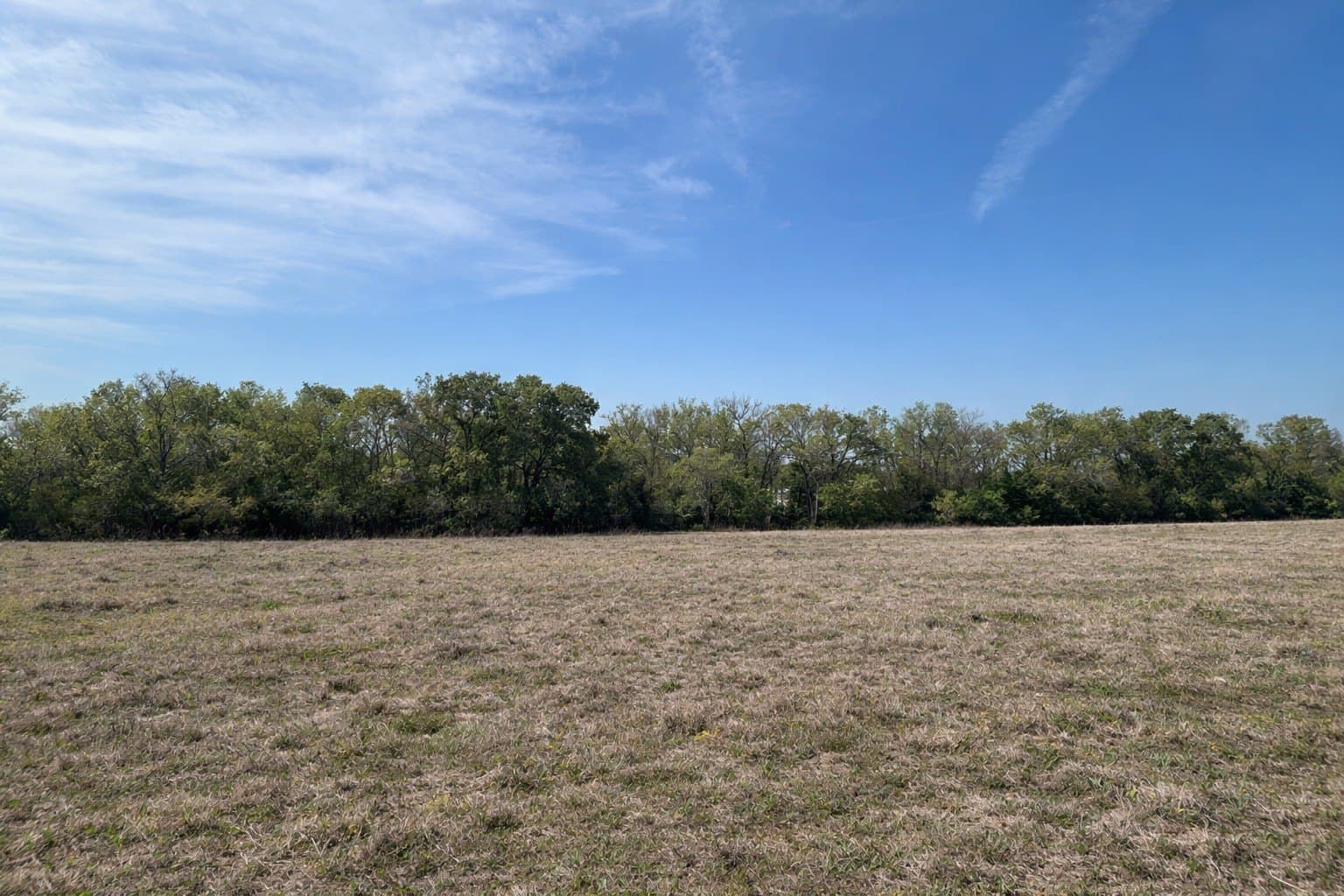 206 acres in Henderson County - photo 4