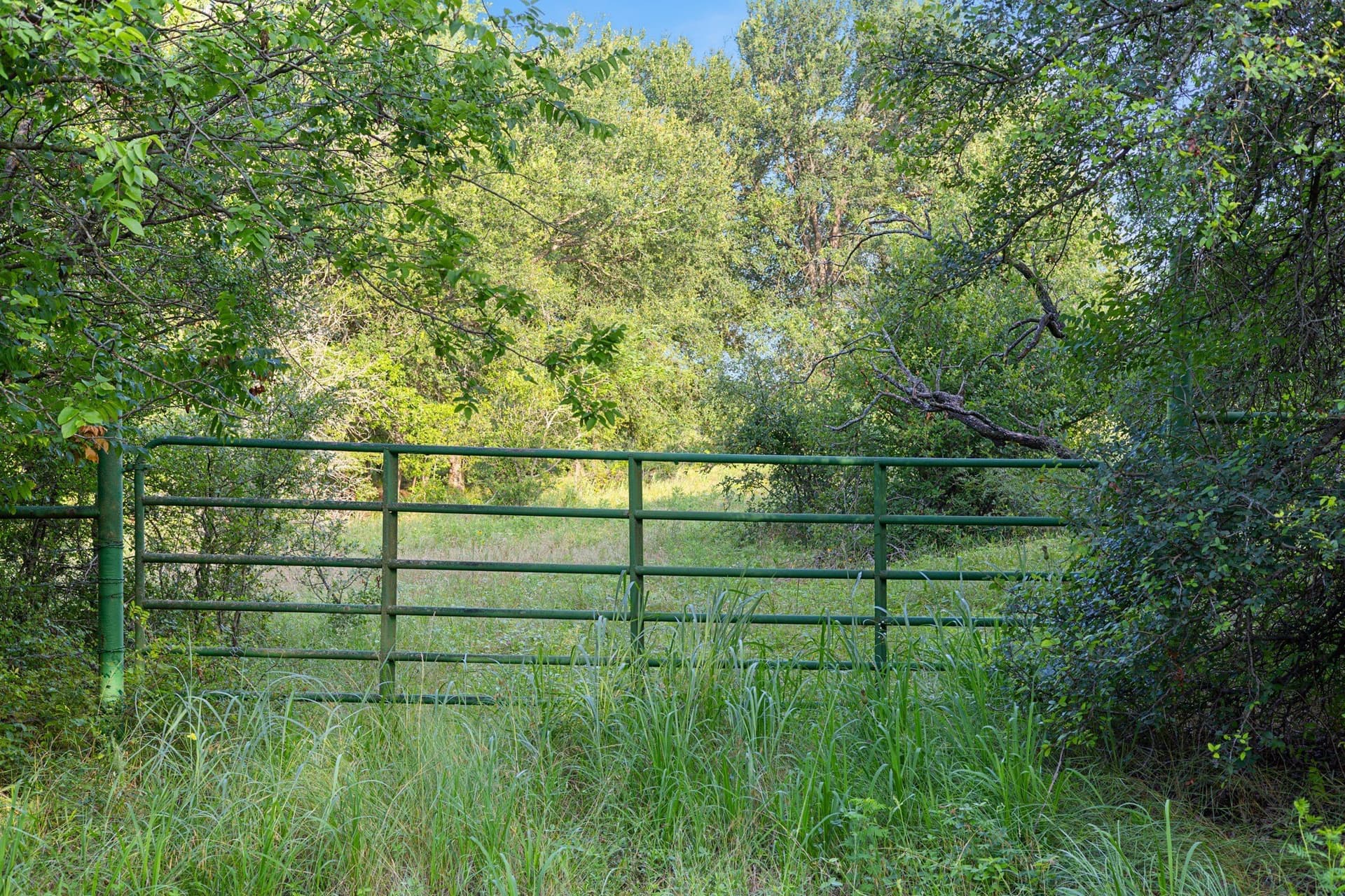 28.71 acres in Montague County featured view