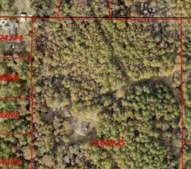 10.1 acres in Gregg County - photo 6