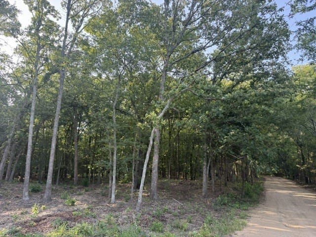 10 acres in Lamar County featured view