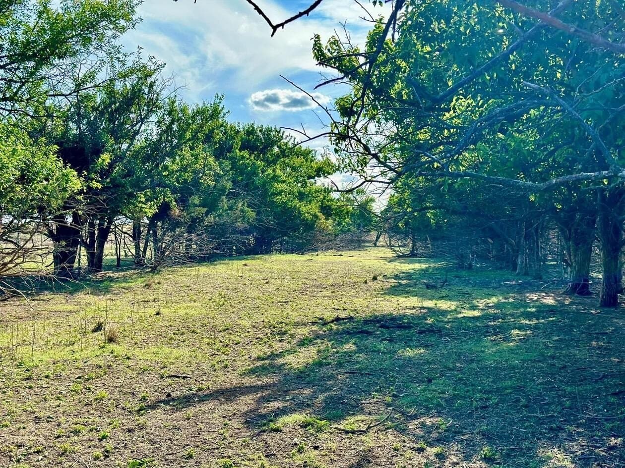 183.18 acres in Wheeler County - photo 43