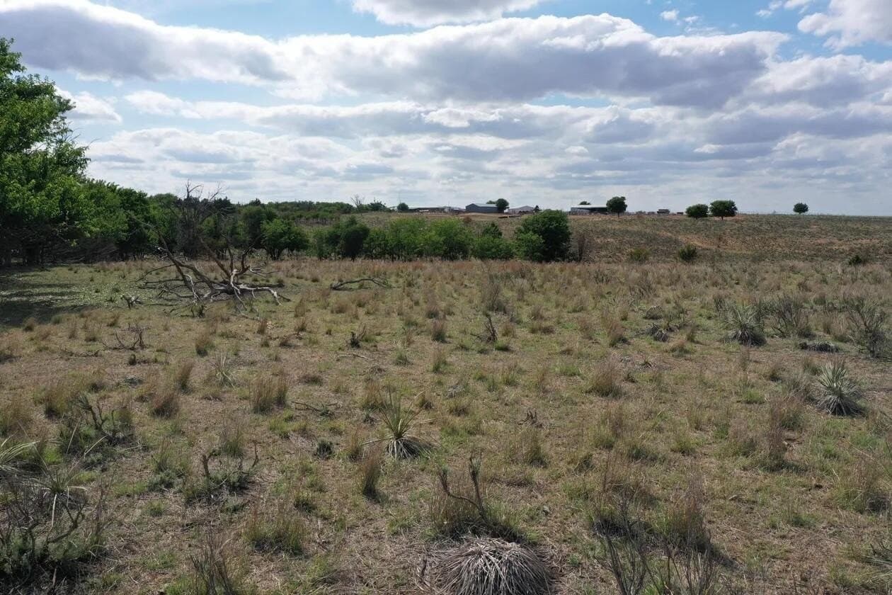 183.18 acres in Wheeler County - photo 64