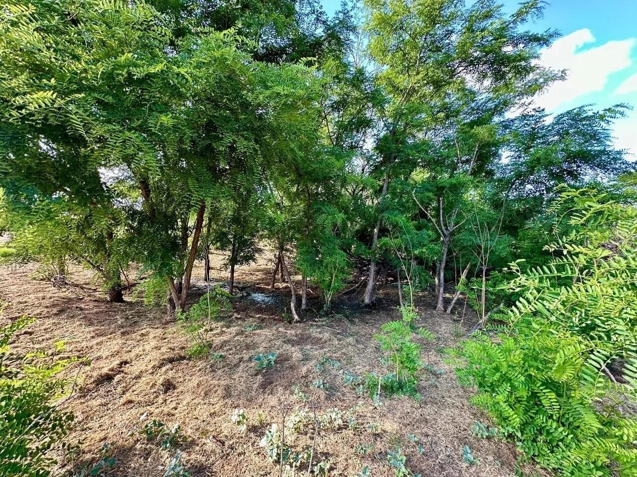 183.18 acres in Wheeler County - photo 45