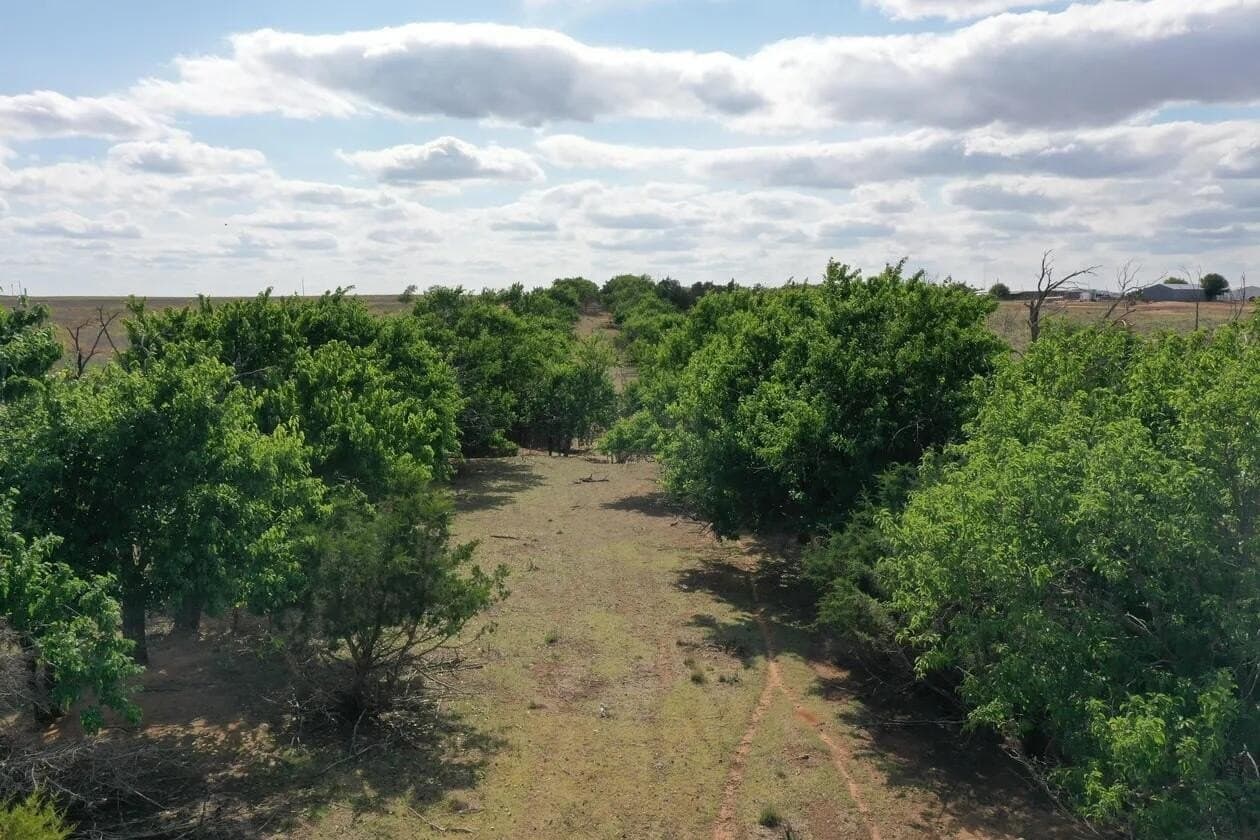 183.18 acres in Wheeler County - photo 66