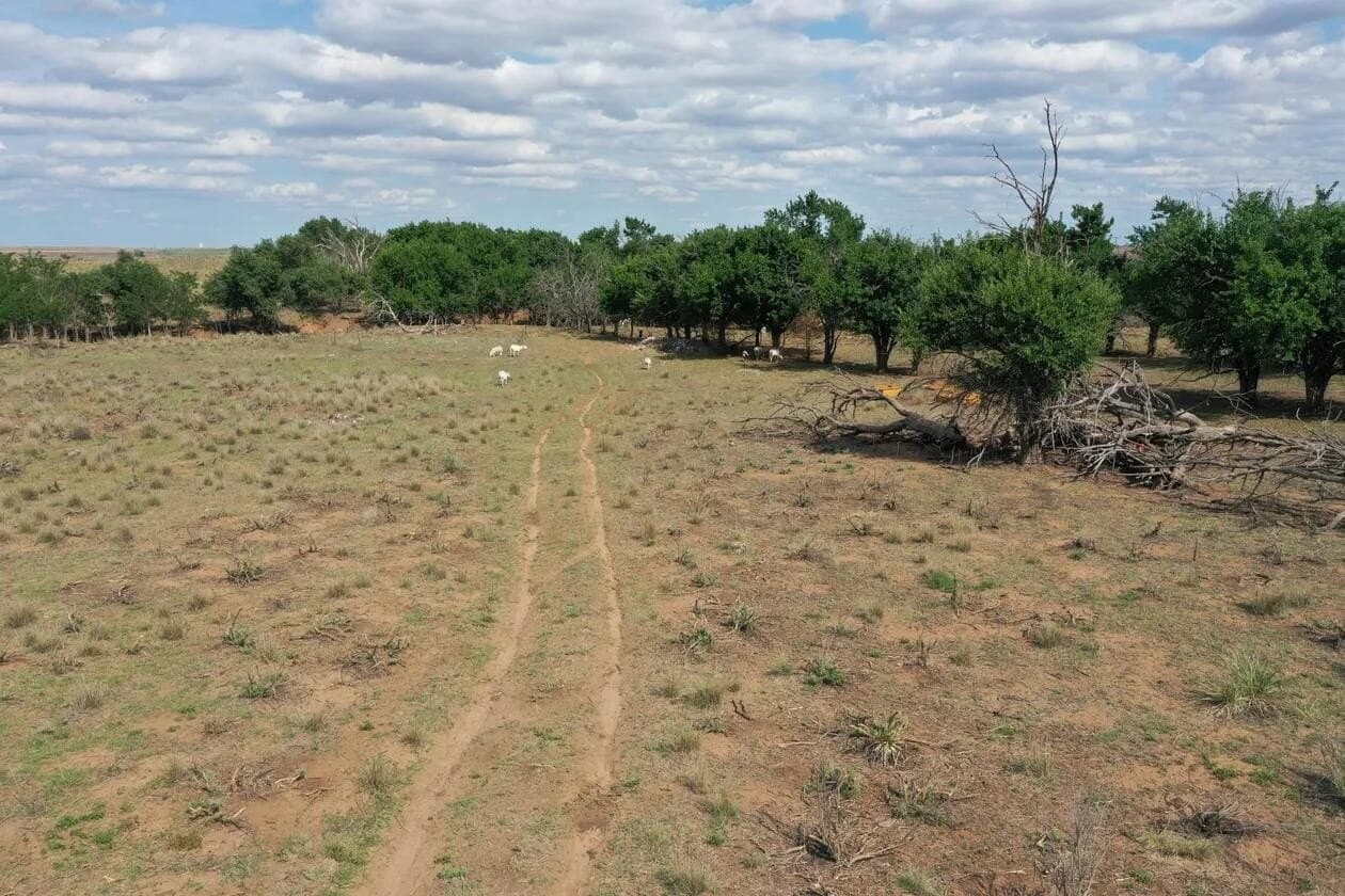 183.18 acres in Wheeler County - photo 61