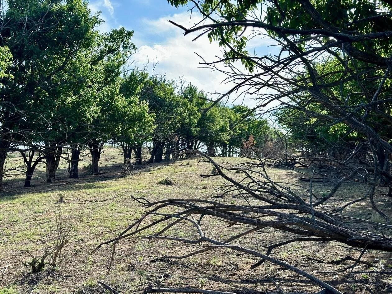 183.18 acres in Wheeler County - photo 33