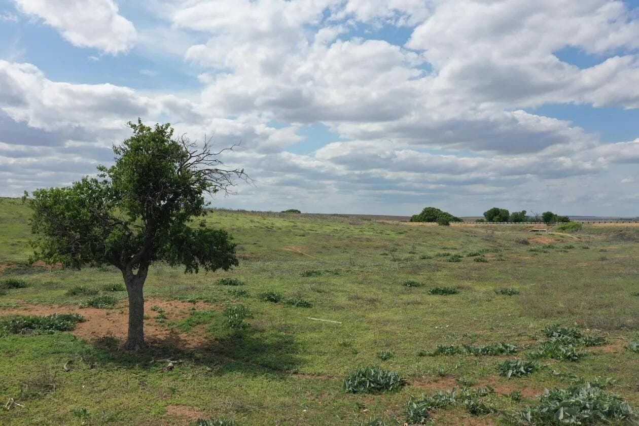 183.18 acres in Wheeler County - photo 52